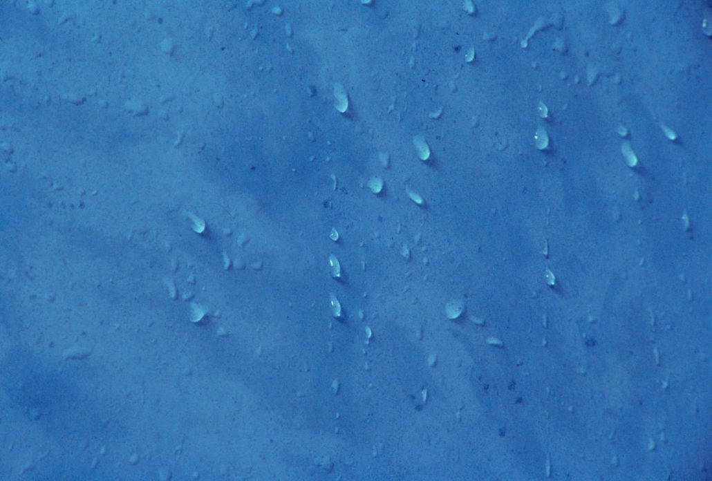 Formations 1